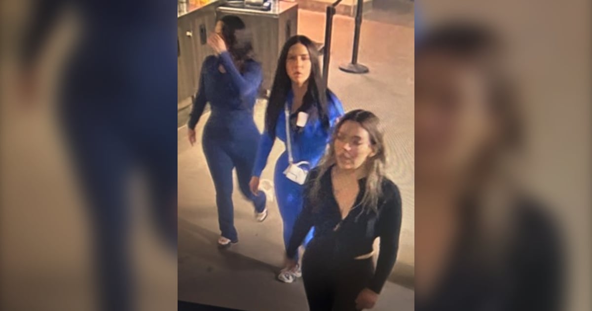 Toronto police searching for 3 women after assault, robbery