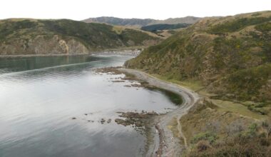 Pilot found trapped in wreckage after chopper crash