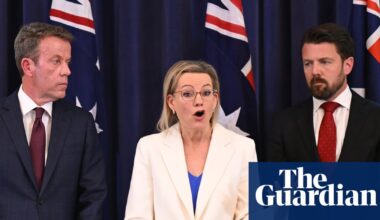 Former Liberal MPs deride net zero dumping as ‘nail in the coffin’ that may prolong pain in urban seats | Liberal party