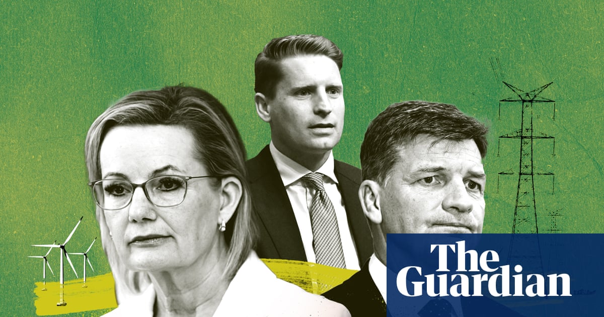 The 48 hours that killed the Liberal party’s net zero promise | Liberal party