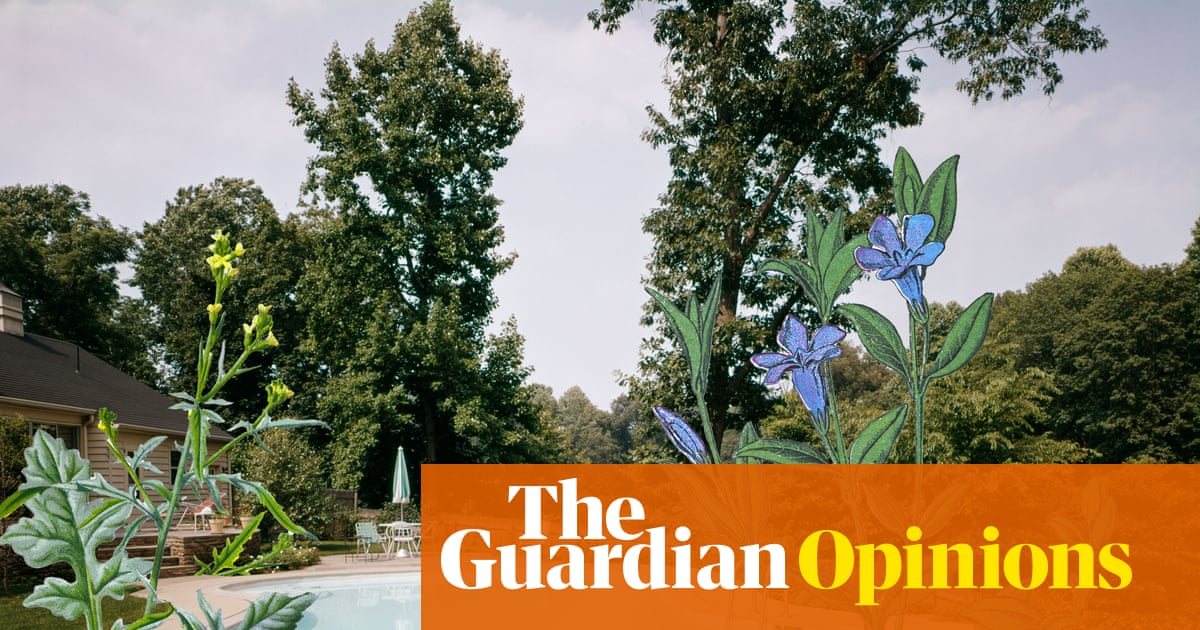 Pity the fool who owns a pool. It’s like having a large, delicate, expensive pet | Homes