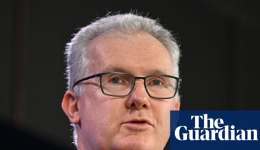 Tony Burke reviewing anti-hate laws and says South African neo-Nazi will not be allowed back into Australia | Far right