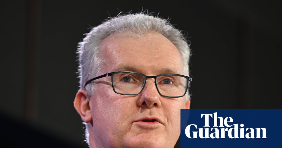Tony Burke reviewing anti-hate laws and says South African neo-Nazi will not be allowed back into Australia | Far right