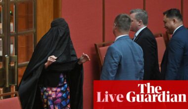 Australia politics live: Senate resumes after Hanson suspended from parliament | Australia news