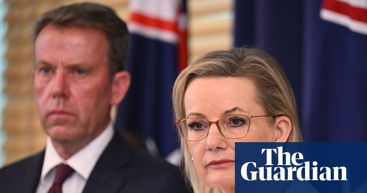 Coalition pitches ‘affordable and responsible’ energy plan as Ley flags immigration as next policy battleground | Coalition