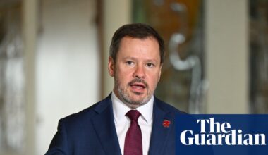 ‘Our gas, our prices’: Ed Husic breaks ranks with Labor to demand an end to ‘profiteering’ by exporters | Energy