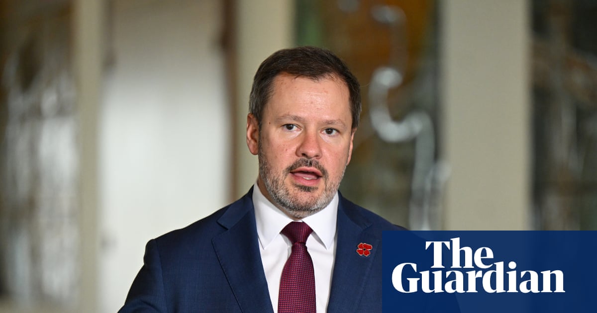 ‘Our gas, our prices’: Ed Husic breaks ranks with Labor to demand an end to ‘profiteering’ by exporters | Energy