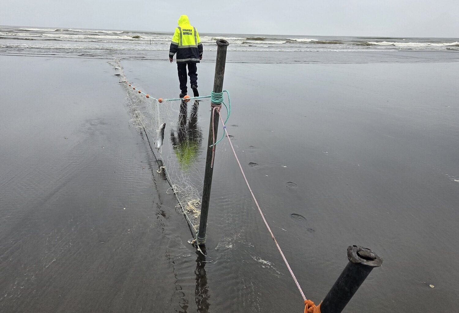 SunLive - Warning for net fishers