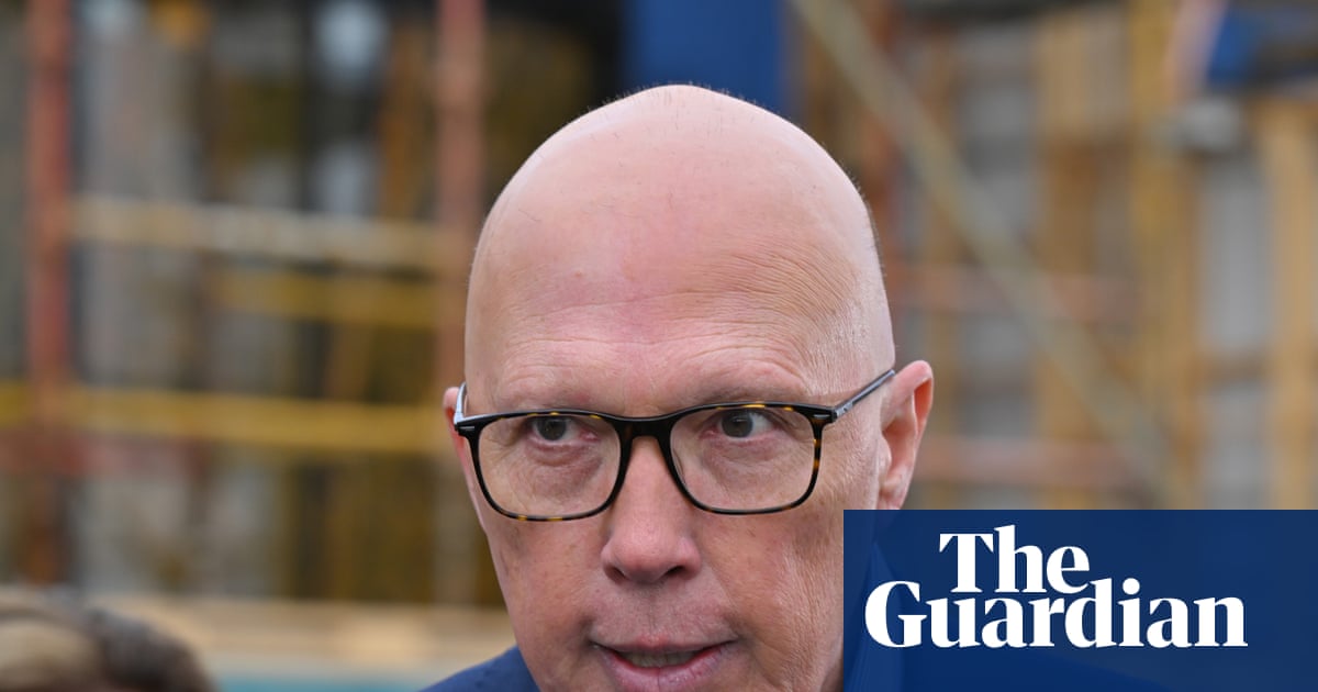 Labor better on economy and Dutton least popular major party leader since 1987, ANU poll finds | Australian politics