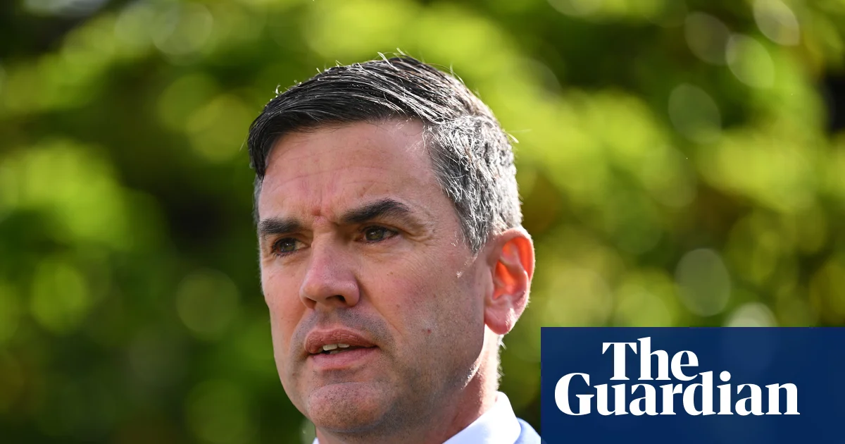 Brad Battin faces spill after group of Victorian Liberal MPs say they have lost confidence in his leadership | Victorian politics