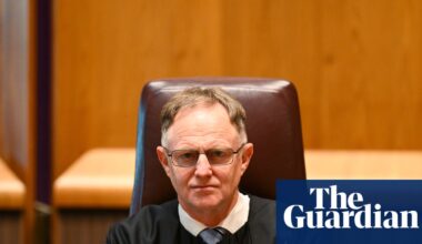 Judges have become ‘human filters’ as AI in Australian courts reaches ‘unsustainable phase’, chief justice says | Australian law