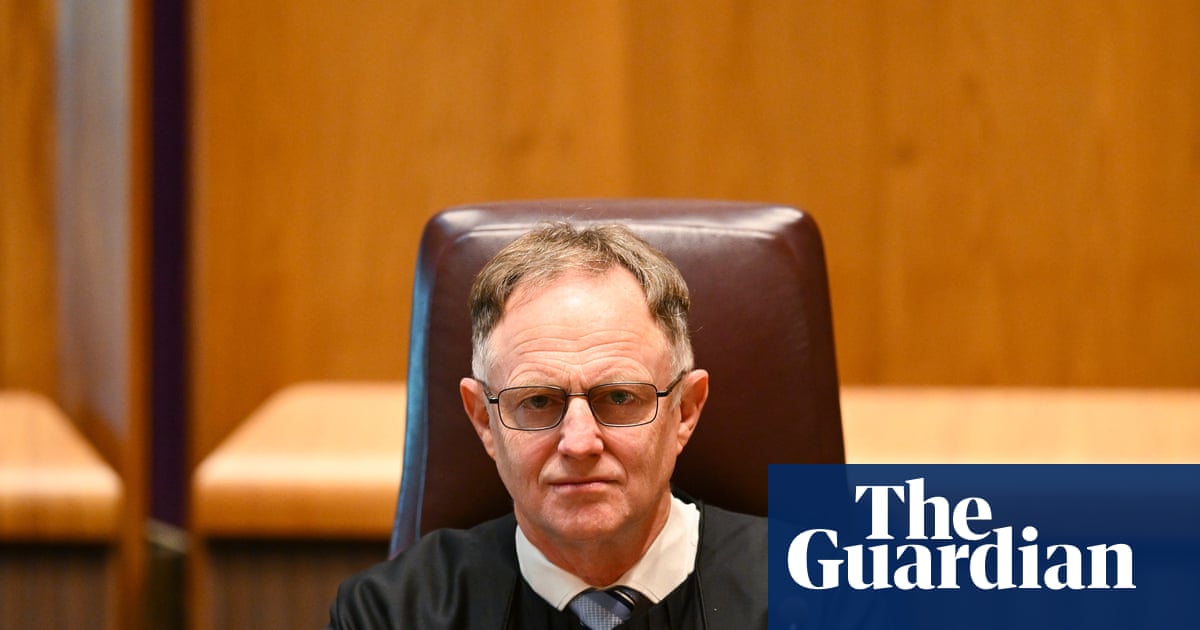 Judges have become ‘human filters’ as AI in Australian courts reaches ‘unsustainable phase’, chief justice says | Australian law