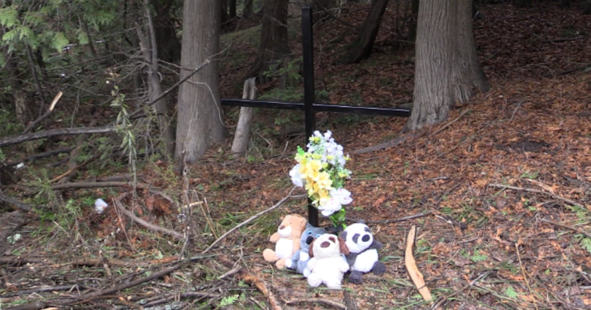 ‘Unimaginable loss’: Hanover, Ont. community grieves tragic loss of three teens - CTV News