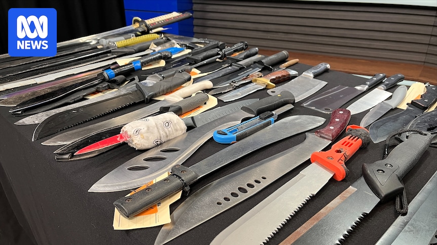 Police seize record number of bladed weapons amid knife crime concerns