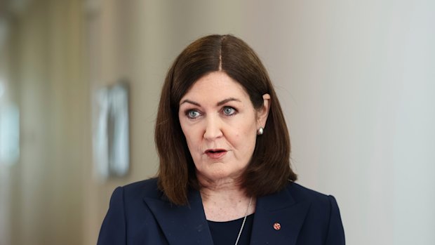 Liberal senator Sarah Henderson.