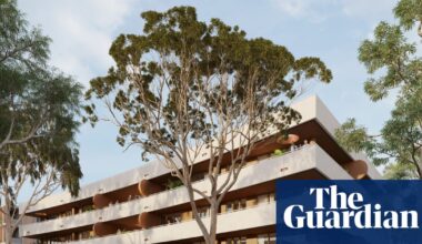 ‘Beautiful to look at and wonderful to live in’: new pattern designs could be next art deco or red brick classics | Sydney