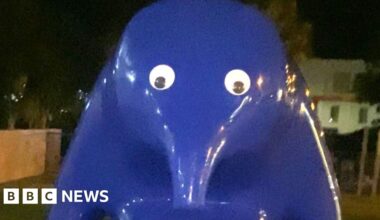 Australian teen charged with sticking googly eyes on artwork