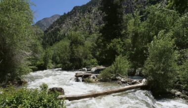 ‘Defendant chose to summit a mountain over the safety of the kids:’ Father who went missing with 3 children on hike charged with child torture, abuse - CTV News
