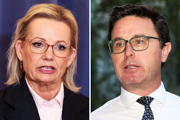 Liberal leader Sussan Ley and Nationals leader David Littleproud.