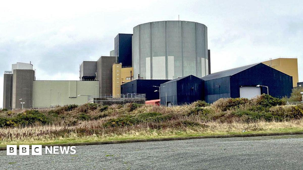 The Wylfa site, taken from a road with part of the tarmac visible as well as hedges and grass.