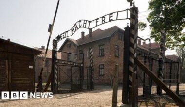 Auction of Nazi death camp artefacts cancelled, Poland's DPM says