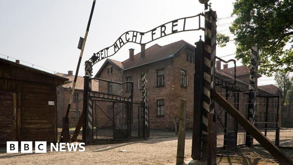 Auction of Nazi death camp artefacts cancelled, Poland's DPM says