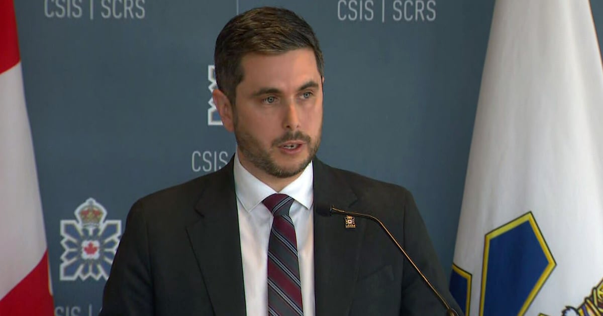 China, Russia spying on governments, businesses in Canada’s Arctic: CSIS director - CTV News