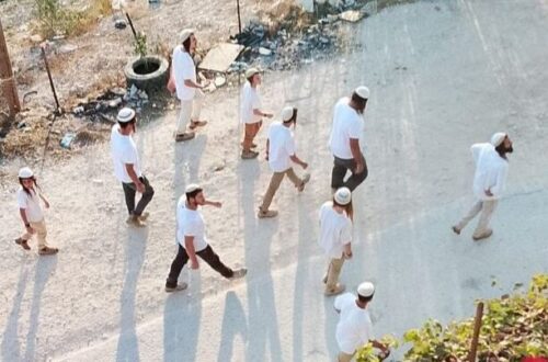 Israeli Settlers Escalate Their Attacks Against Palestinians in the West Bank |