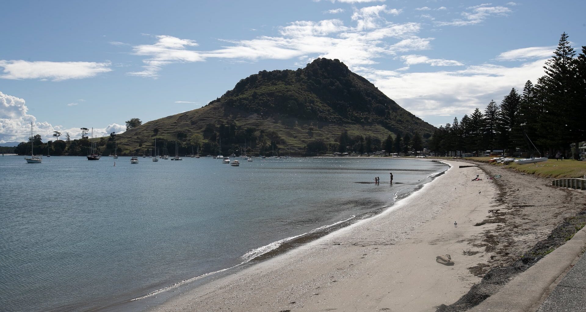 SunLive - Pilot Bay sand works to ready beach for summer