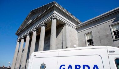 Judge States It Will Be Alleged Dublin Man 'Caught Red Handed' With €620,000 Worth Of Cannabis