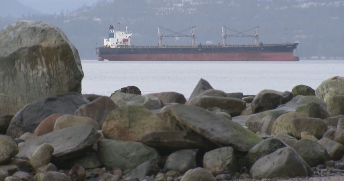 Alberta gov’t reaction to B.C. premier, Indigenous leaders calling for oil tanker ban to remain - CTV News