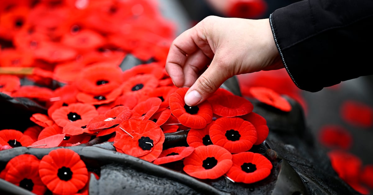 Here is a list of Remembrance Day ceremonies in Toronto and what will be open and closed