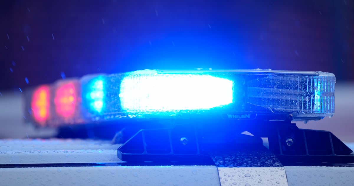 Three Hanover high school students killed in Grey County crash - CTV News