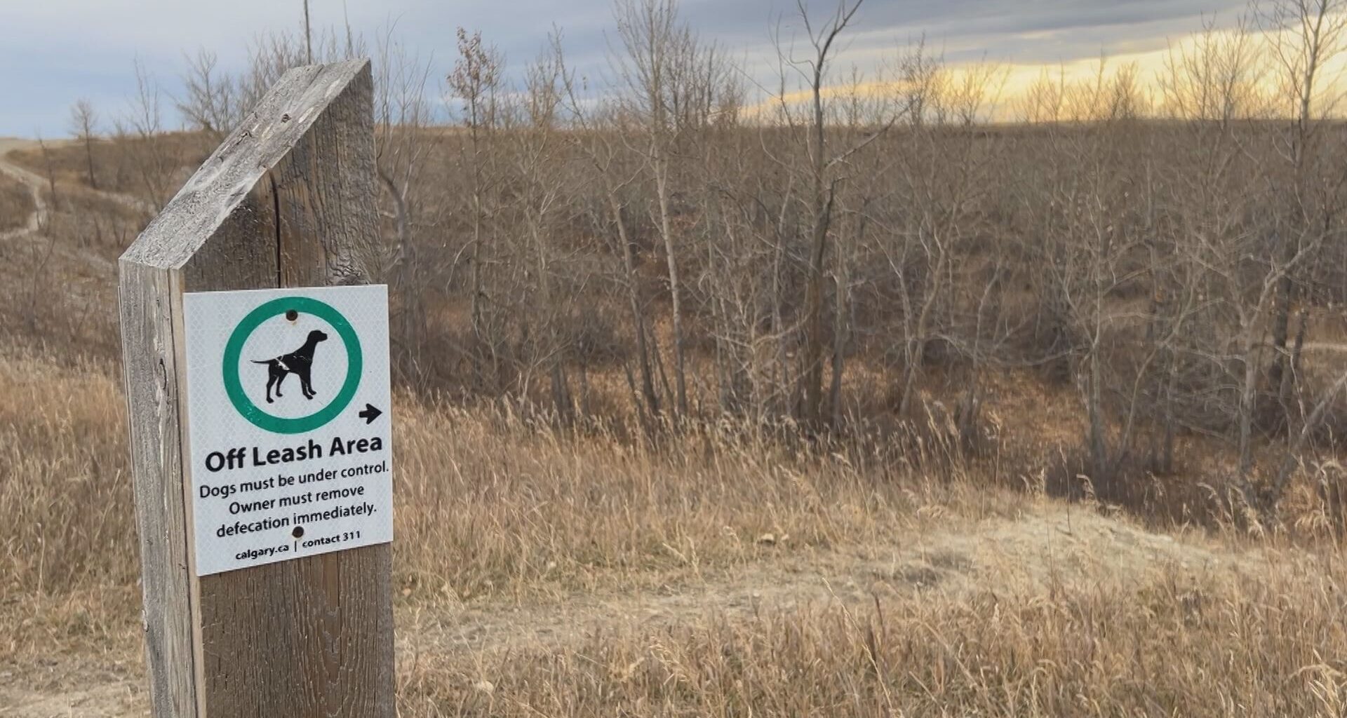 Human remains found at NW Nose Hill Park: Calgary police