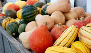 Warm up to tasty and nutritious winter squash
