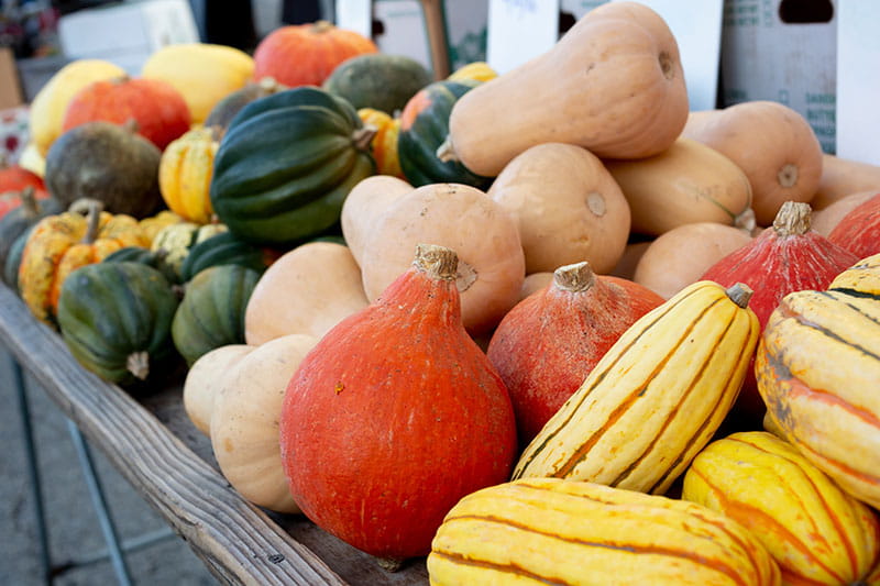 Warm up to tasty and nutritious winter squash
