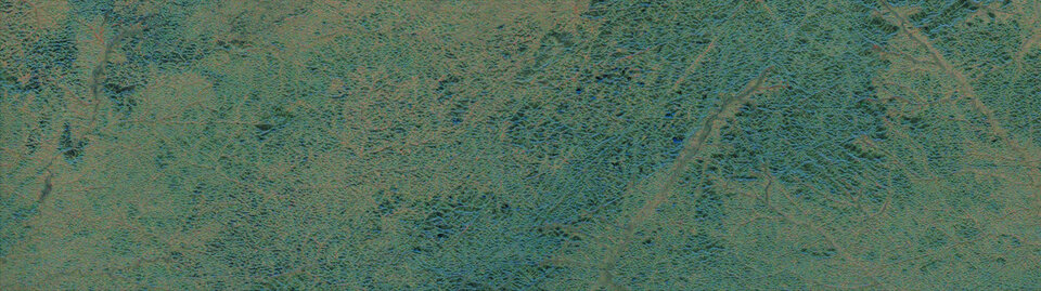 Forest canopy (30 m high)