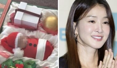 Lee Si-young Faces Backlash Over 'Christmas Ornament' Video - 조선일보