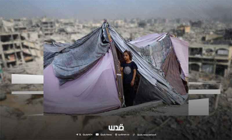 Three Winters Without Shelter: Gaza’s Families Face the Cold Again as Israel Blocks Tents