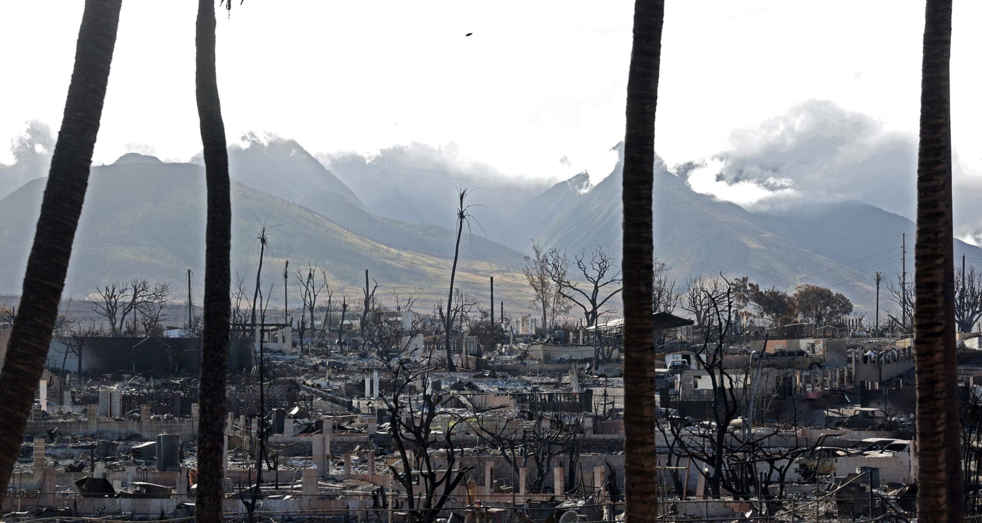 Cities Unite to Tackle Deadly Extreme Heat