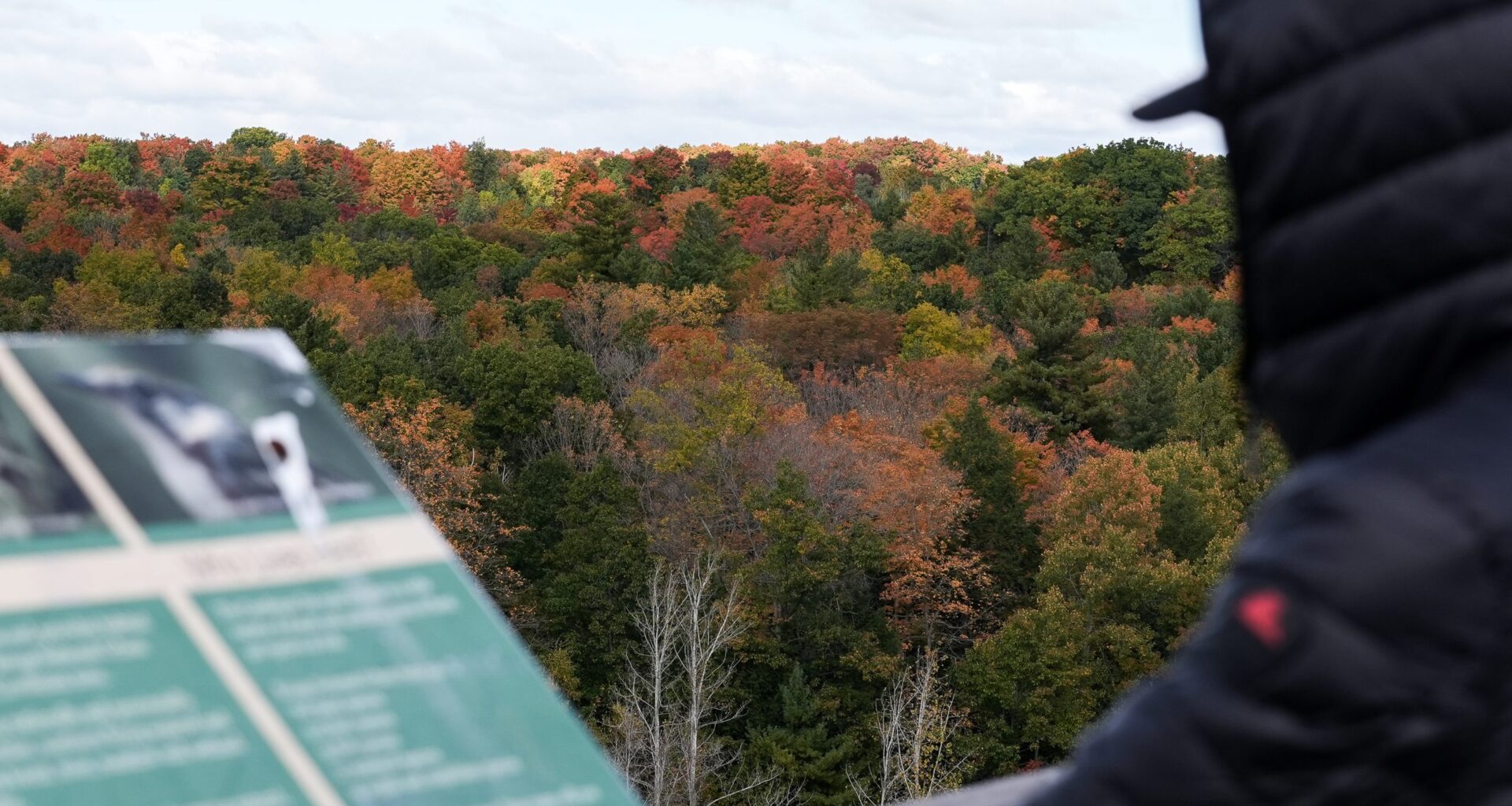 Family rescued after getting lost on a hike in GTA park