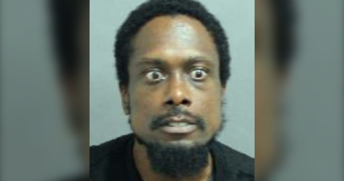 Toronto police search for man in North York assault