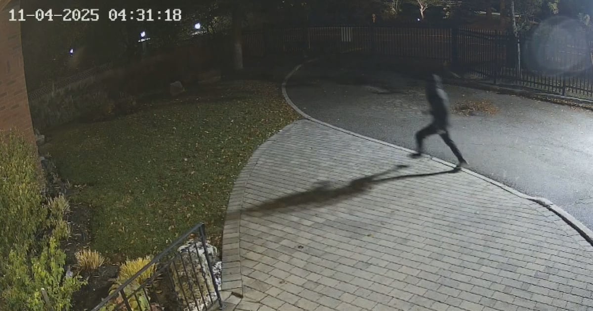 Police investigating after video shows North York synagogue being vandalized for 10th time this year - CTV News