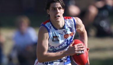 Brothers of three AFL players drafted, Hawks trade up