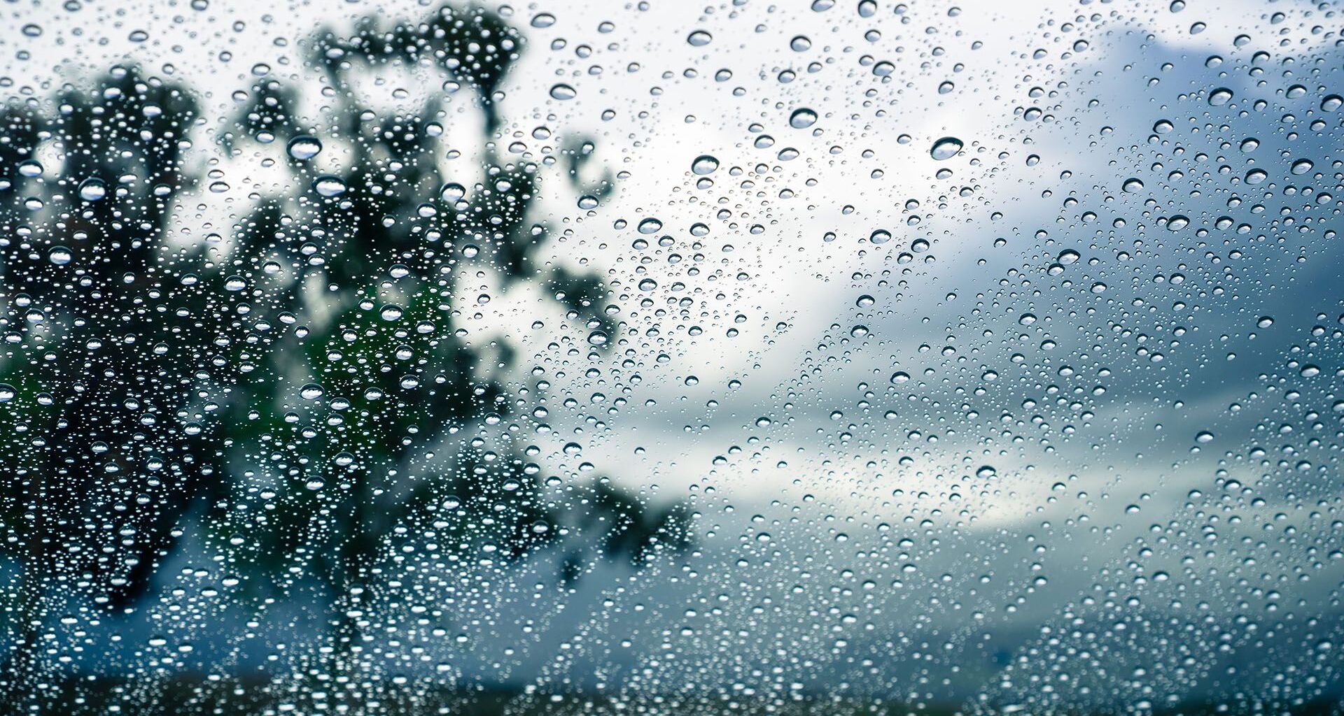 Heavy rain expected (Posted 930p Nov 9) – haligonia.ca