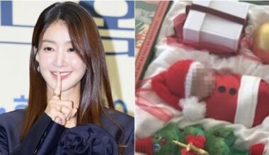 Lee Si-young Deletes Newborn Photo Called 'Ornament' Amid Backlash - 조선일보