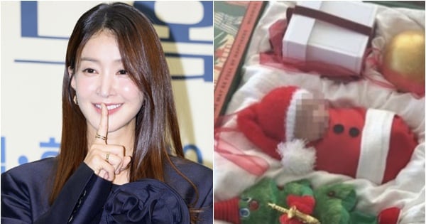 Lee Si-young Deletes Newborn Photo Called 'Ornament' Amid Backlash - 조선일보