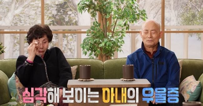 Husband's 22-Year Secret Hobby Costs 500 Million Won, Leaves Wife Hospitalized for Depression - 조선일보