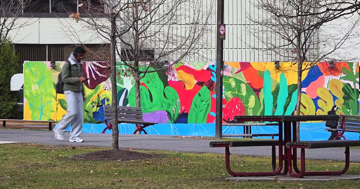 First snowstorm of the season could bring 5-15 cm of snow to Ottawa on Sunday - CTV News