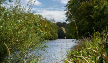 Dairy plant suspends production after further pollution incident in Cork river – The Irish Times